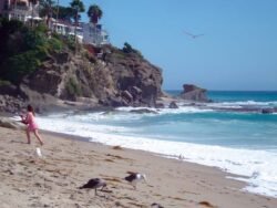 Leslie Dirgo "Overlords of Alicia Beach" Photography