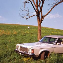 Leslie Dirgo "Party at Al's Farm" Photography