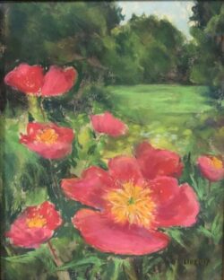 Liberty Dickinson "Red Poppies" Pastel