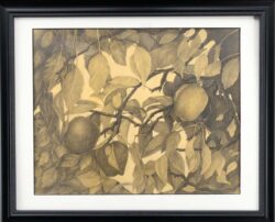 Steven Coler "Autumn’s Harvest" Pencil