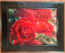 Susan Rapske "Deep Red" Oil