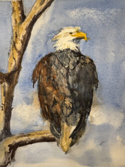 Alexandra Sullivan "Shadow" Watercolor