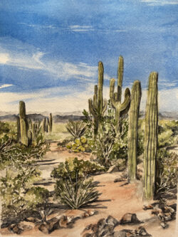 Claudia Kaneshiro "Saguaro National Park, Tucson" Watercolor