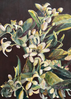 Hedi Roethel "Spring Profusion" watercolor