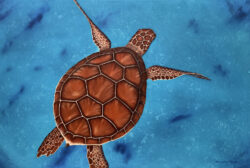 Margarita de Jesus "Honuhohonu (Deep Sea Turtle)" oil