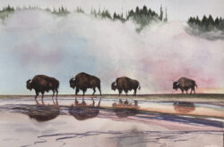 Michael McAlister "Bison-Reflection" Watercolor