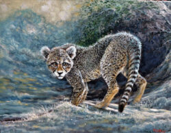 Pat Edep "Little Deb" Oil