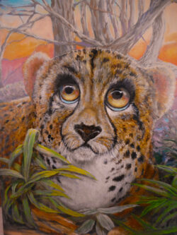 Pat Edep "Bright Eyes" Oil