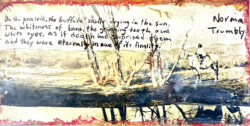 Rachel Strong "NORMA TRUMBLY, OSAGE REZ, CIRCA 1923"