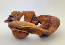 Robert Rosenfield "0522B_Algarrobo" 3D Wood