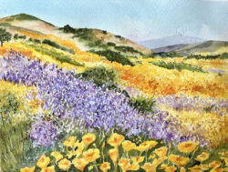 Sandy Winkler "Calif Poppies" Watercolor