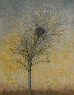Susan Donze "HOME" pencil