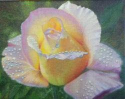 Susan Rapske "Trish's Rose" oil
